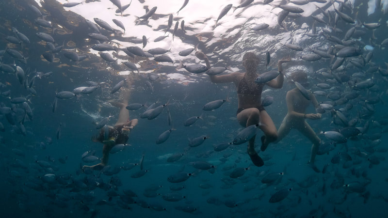 Friends immersed in an underwater adventure, surrounded by a vibrant school of fish in clear blue waters