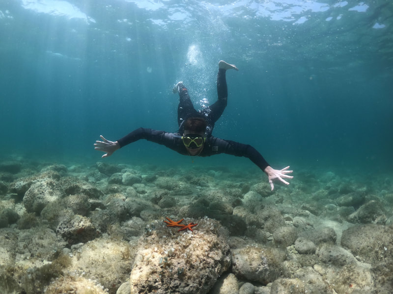 A man snorkeling in clear waters, observing a vibrant sea star with awe and curiosity